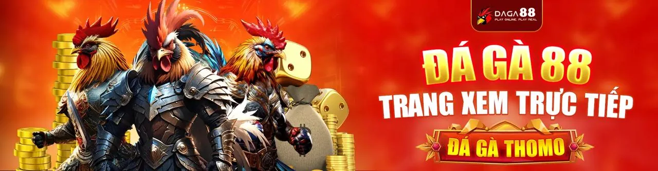 Trường gà đá gà trực tuyến sôi động tại 58win1